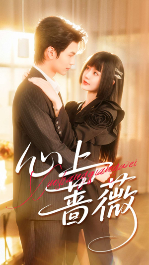 心上蔷薇（100集）一起追短剧