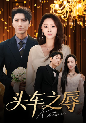 头车之辱(60集) 头车之辱(60集)演的怎么样