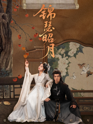 锦瑟昭月（68集）免费看全集