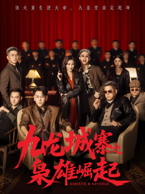 九龙局中局(71集) 九龙局中局(71集)红果免费看短剧