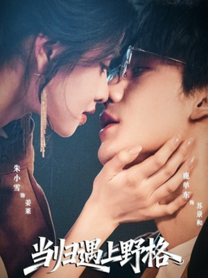 当归遇上野格(66集) 当归遇上野格(66集)我全都看完了