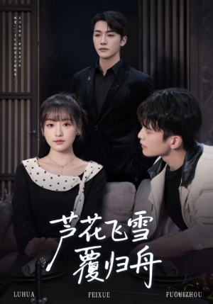芦花飞雪覆归舟(77集) 芦花飞雪覆归舟(77集)第三季