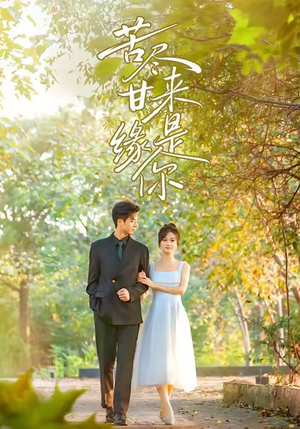 苦尽甘来缘是你(45集) 苦尽甘来缘是你(45集)番茄短剧免费看