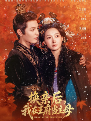 换亲后，我在王府当主母（80集）更新时间一览表