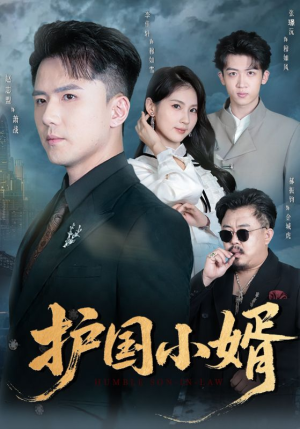 护国小婿(60集) 护国小婿(60集)短剧解说全集