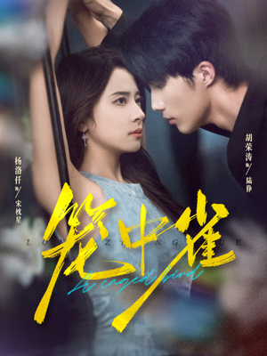 笼中雀(65集) 笼中雀(65集)夸克网盘观看