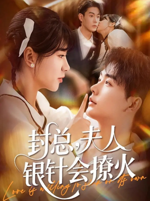 封总，夫人银针会撩火（69集）免费短剧看不停