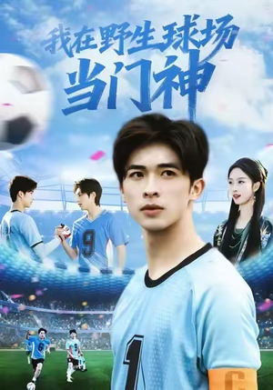 我在野生球场当门神(31集) 我在野生球场当门神(31集)全集