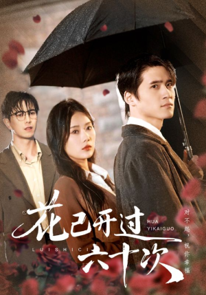 情敌交手她选择躺赢（72集）百度网盘在线看