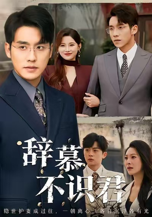 辞慕不识君(77集) 辞慕不识君(77集)全剧免费观看