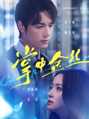 掌中金丝(60集) 掌中金丝(60集)精彩短剧来袭