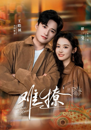 难撩（100集）热播短剧推荐