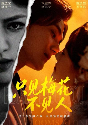 只见梅花不见人（63集）短剧追到爽