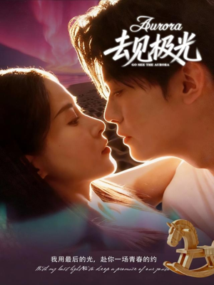 去见极光（60集）在线观看