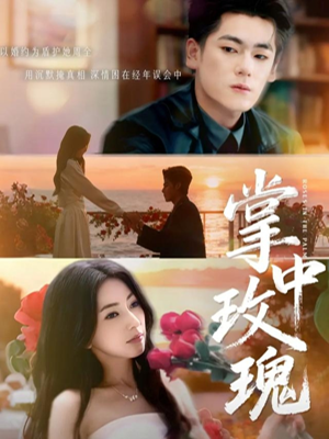 掌中玫瑰（60集）热播短剧重燃