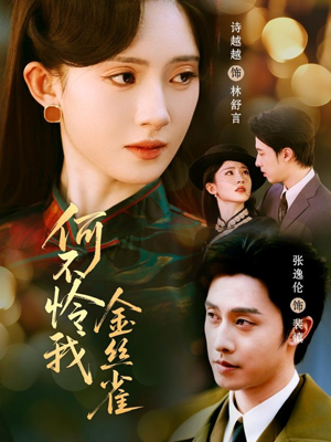 何不怜我金丝雀（60集）短剧热门合集