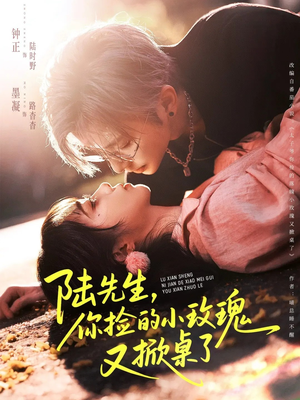 陆先生,你捡的小玫瑰又掀桌了(74集) 陆先生,你捡的小玫瑰又掀桌了(74集)免费全集短剧