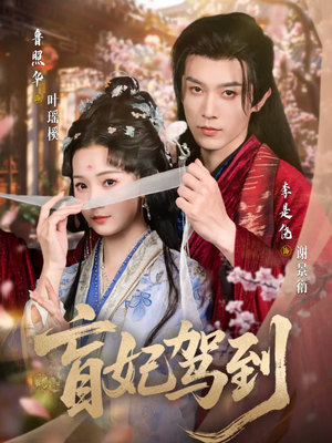 盲妃驾到（65集）追风的女孩短剧