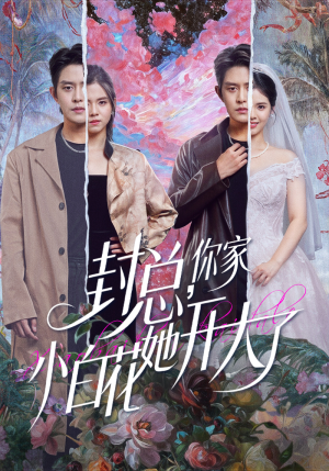 封总，你家小白花她开大了（60集）短剧在哪里看