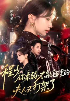 程少你柔弱不能自理的夫人又打架了（60集）免费观看完整版