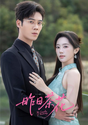 昨日茶花（56集）在线看到大结局