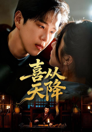 喜从天降(50集) 喜从天降(50集)在线观看