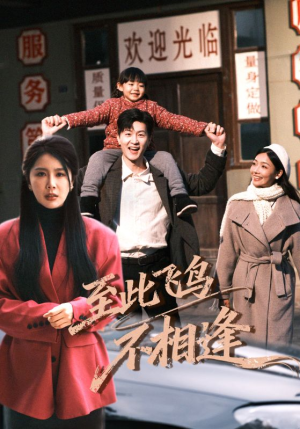 至此飞鸟不相逢（70集）每日分享短剧