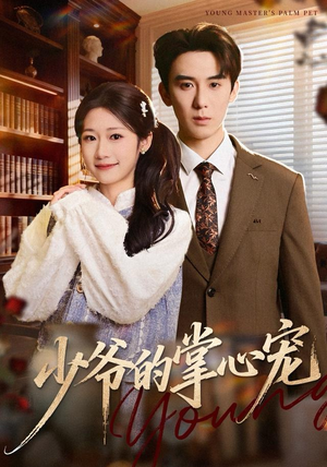 少爷的掌心宠（80集）精彩短剧来袭