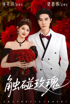 触碰玫瑰（80集）爆款短剧一起追