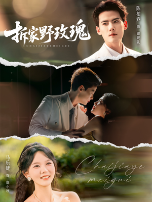 拆家野玫瑰(80集) 拆家野玫瑰(80集)全网短剧抢先看