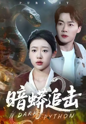 暗蟒追击（35集）评价怎么样