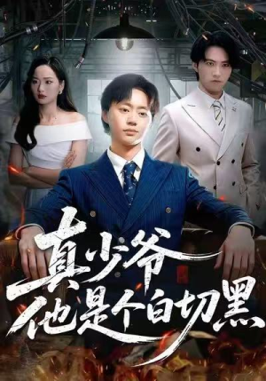 真少爷他是个白切黑（75集）热播短剧来袭
