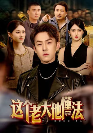 这个老大他懂法（100集）在哪个平台看好