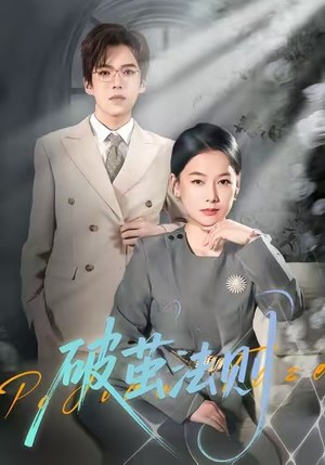 破茧法则（66集）好看的短剧分享