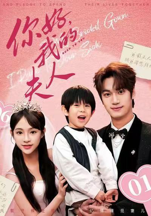 顾总，我才是你的夫人（65集）经典老剧免费看