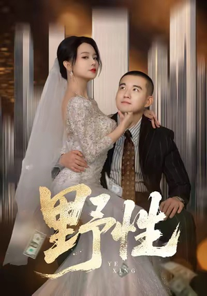 野性&分手后,顶头上司要嫁我(70集) 野性&分手后,顶头上司要嫁我(70集)上热门短剧