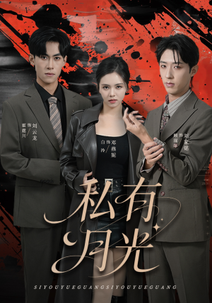 私有月光（78集）精彩短剧下载