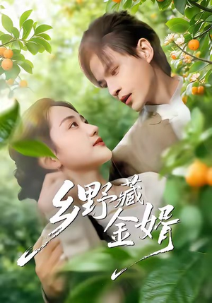 乡野藏金婿（50集）短剧热播推荐