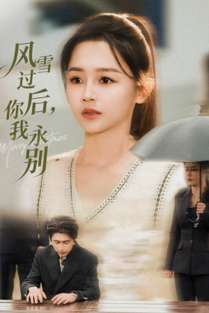 风雪过后你我永别（51集）热门短剧抢先