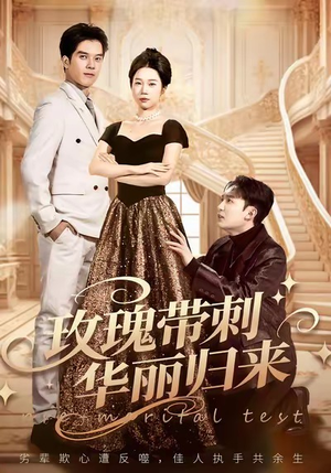 玫瑰带刺华丽归来（83集）百度网盘资源