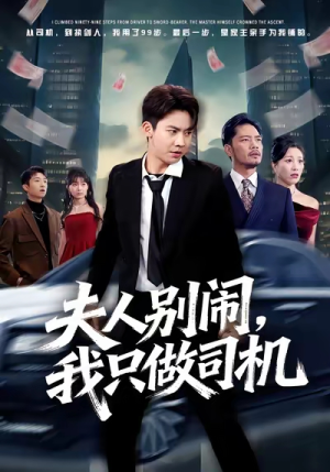 夫人别闹我只做司机（80集）第二季
