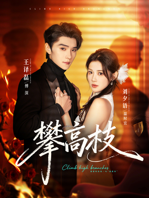 攀高枝（70集）在线看完整版