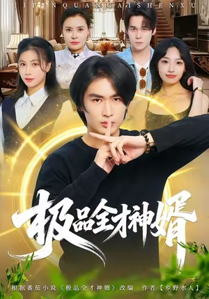 极品全才神婿（67集）免费在线看全集