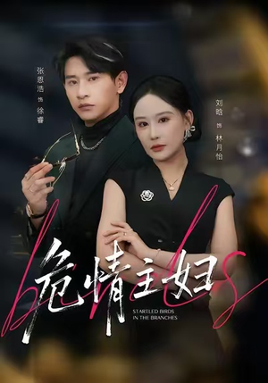 危情主妇（60集）更新时间一览表