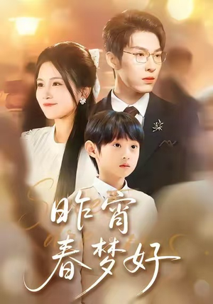 昨宵春梦好（90集）常回家看看短剧