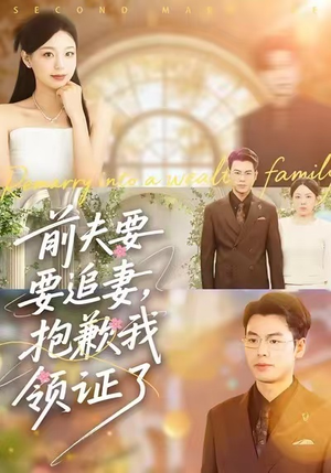 前夫要追妻，抱歉我领证了（81集）精彩短剧看全集