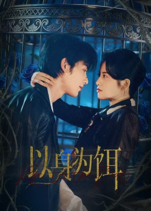 以身为饵（61集）第二季