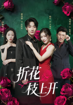 折花枝上开(51集) 折花枝上开(51集)短剧热门合集