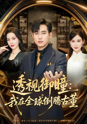 透视御瞳：我在全球倒腾古董（80集）免费观看
