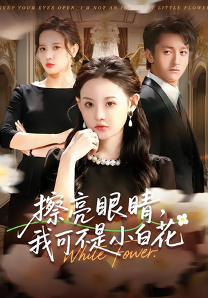 擦亮眼睛，我可不是小白花（60集）第三季